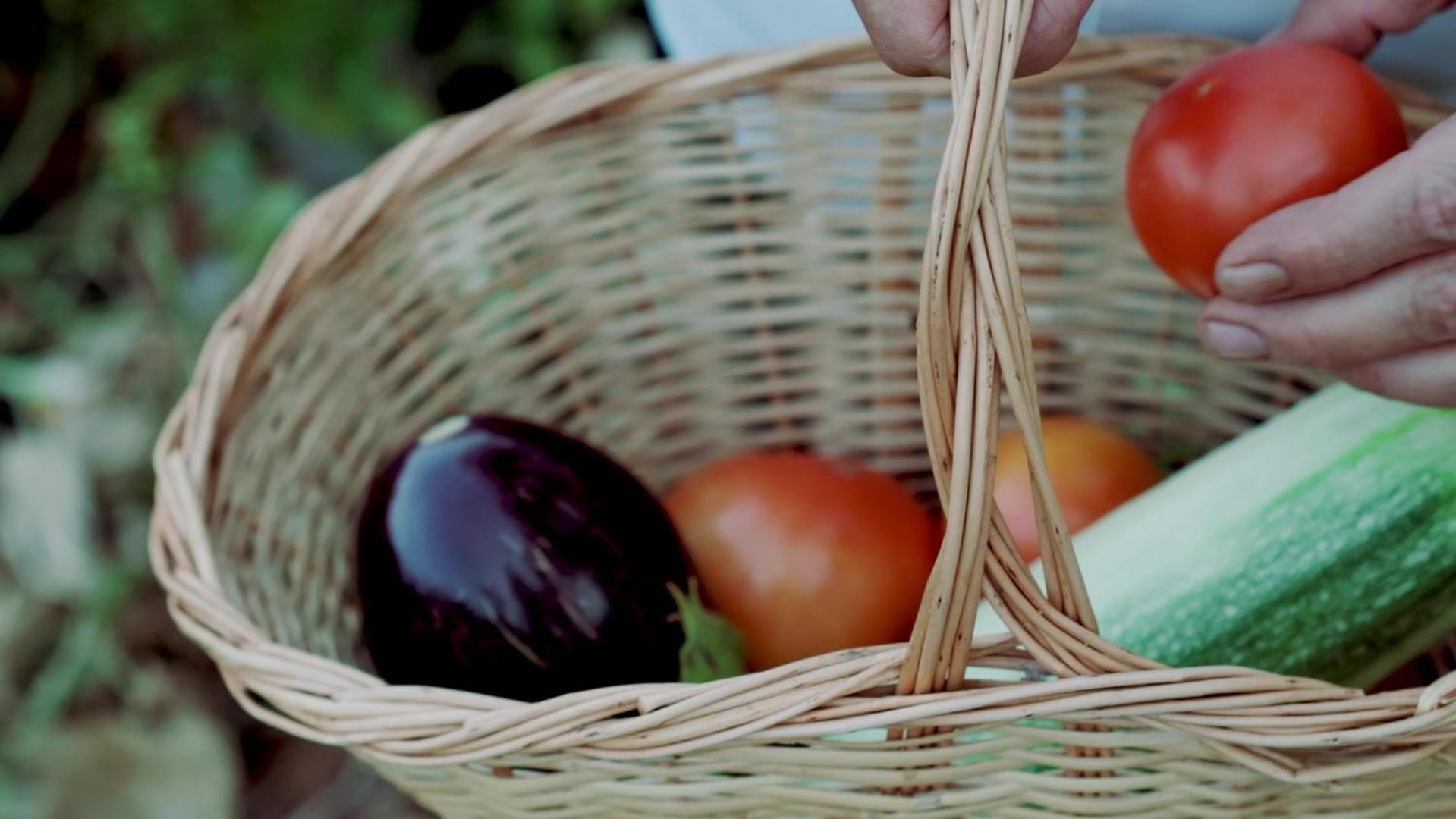 Maya Bistro Hotel & Beach Siğacık Εξωτερικό φωτογραφία
