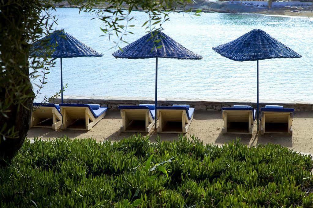 Maya Bistro Hotel & Beach Siğacık Εξωτερικό φωτογραφία