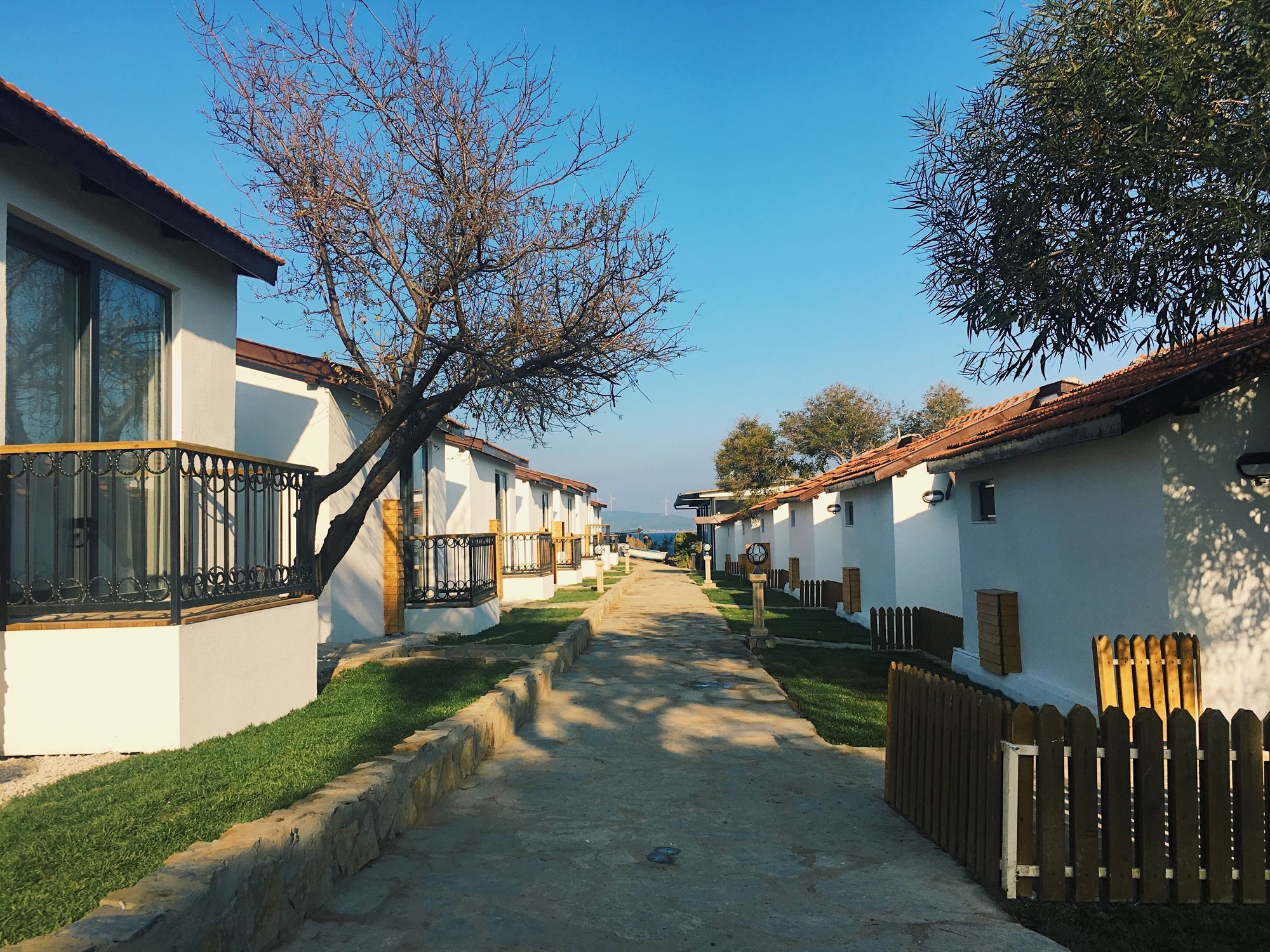 Maya Bistro Hotel & Beach Siğacık Εξωτερικό φωτογραφία